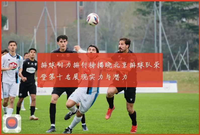 排球耐力排行榜揭晓北京排球队荣登第十名展现实力与潜力