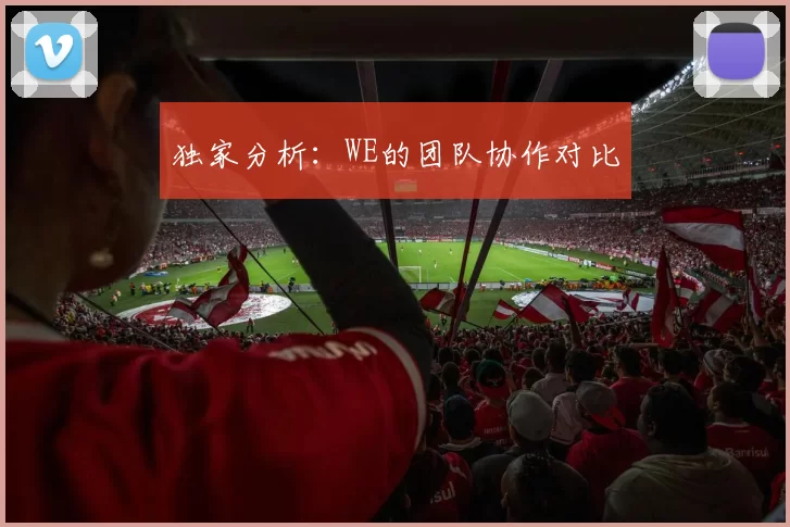 独家分析：WE的团队协作对比