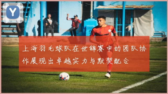 上海羽毛球队在世锦赛中的团队协作展现出卓越实力与默契配合