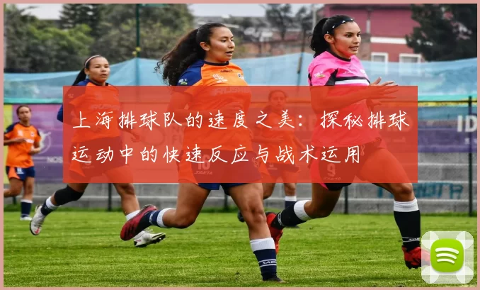 上海排球队的速度之美：探秘排球运动中的快速反应与战术运用