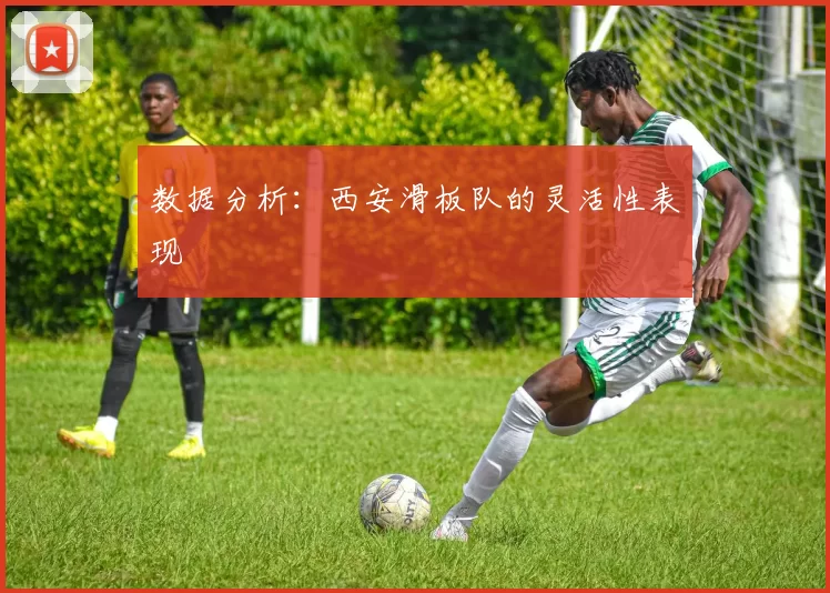 数据分析：西安滑板队的灵活性表现