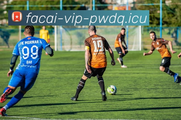 乐鱼体育APP 封面图